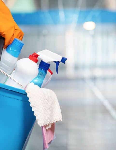 Biweeklt Cleaning Services