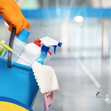 Regular Cleaning Services 