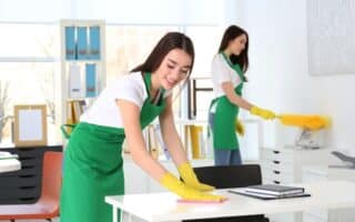 Expert Cleaning Service