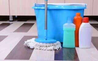 Master and Guest Bathroom Cleaning